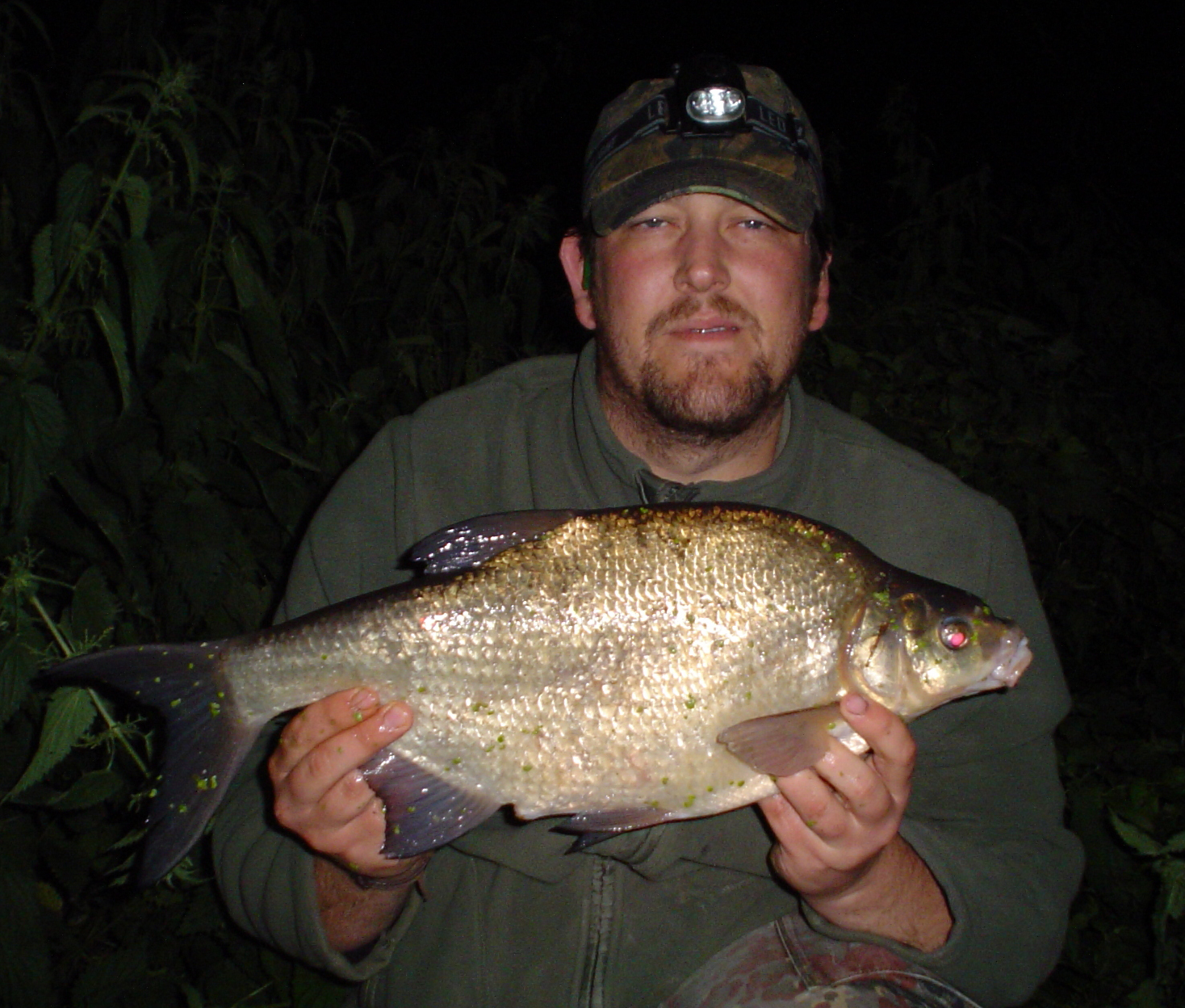 The Lure of Angling Flood water barbel,carp,eel and bream fishing.